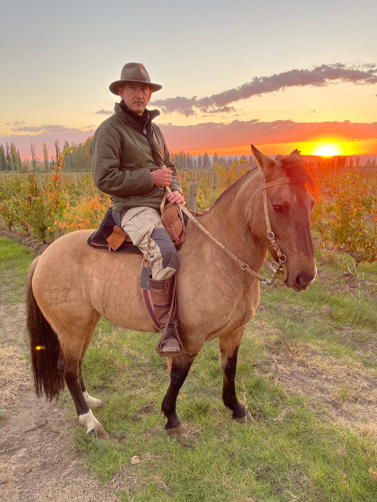 Philippe Zanchetta a caballo entre los viñedos al atardecer