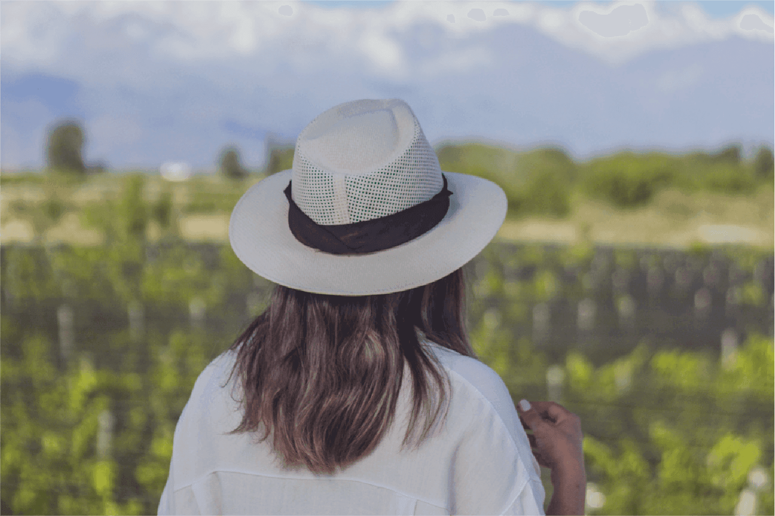 Viñedos del Valle de Uco, Bodega Raffy - Familia Zanchetta