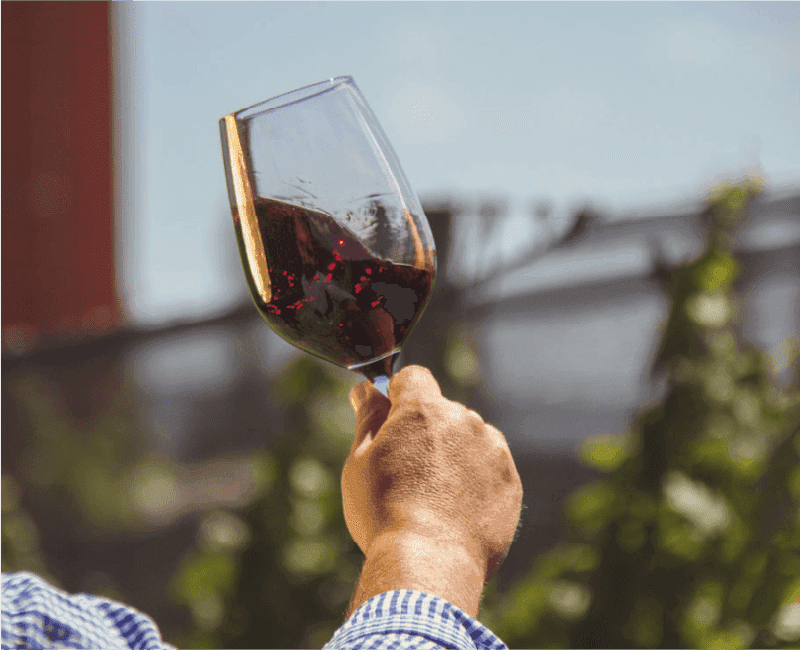 Copa de vino tinto en alto contraluz