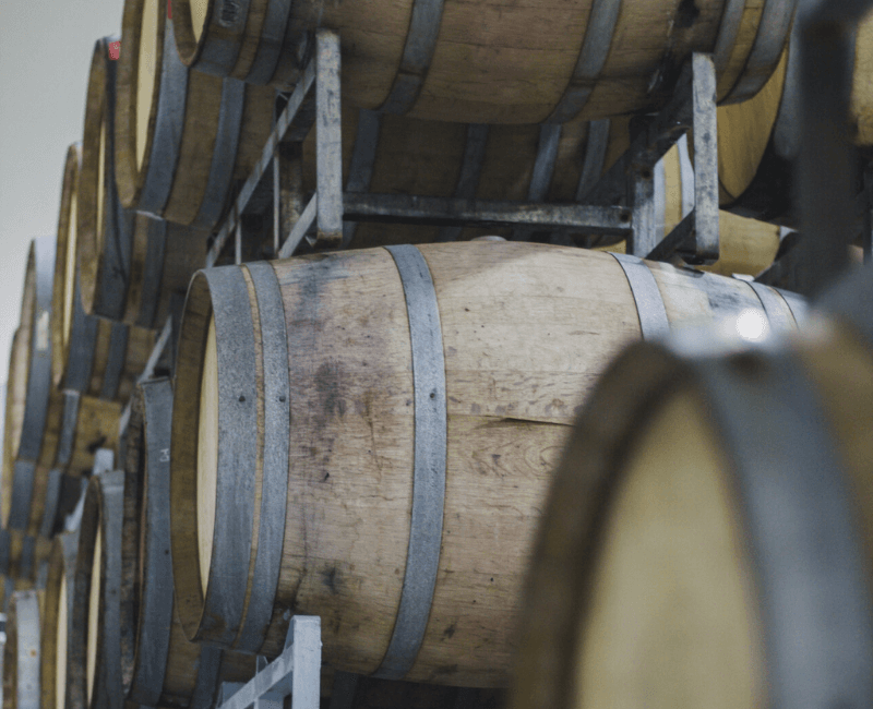 Barricas de roble francés apiladas en la bodega